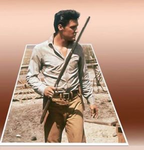 Elvis cowboy