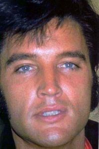 EP close up beautiful