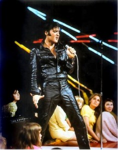 Elvis-02