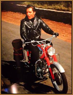 rrdedfc377c4e71d49f000947035d9