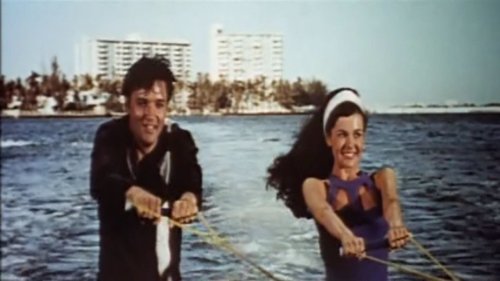 lCSmDqM3kgCkpQ6jE3Bhf